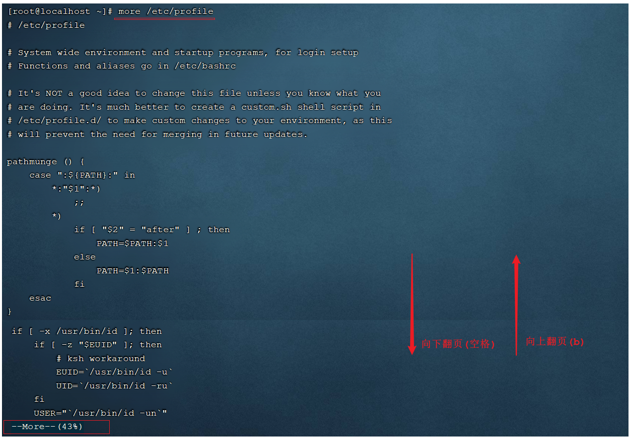 image-20210811192256269